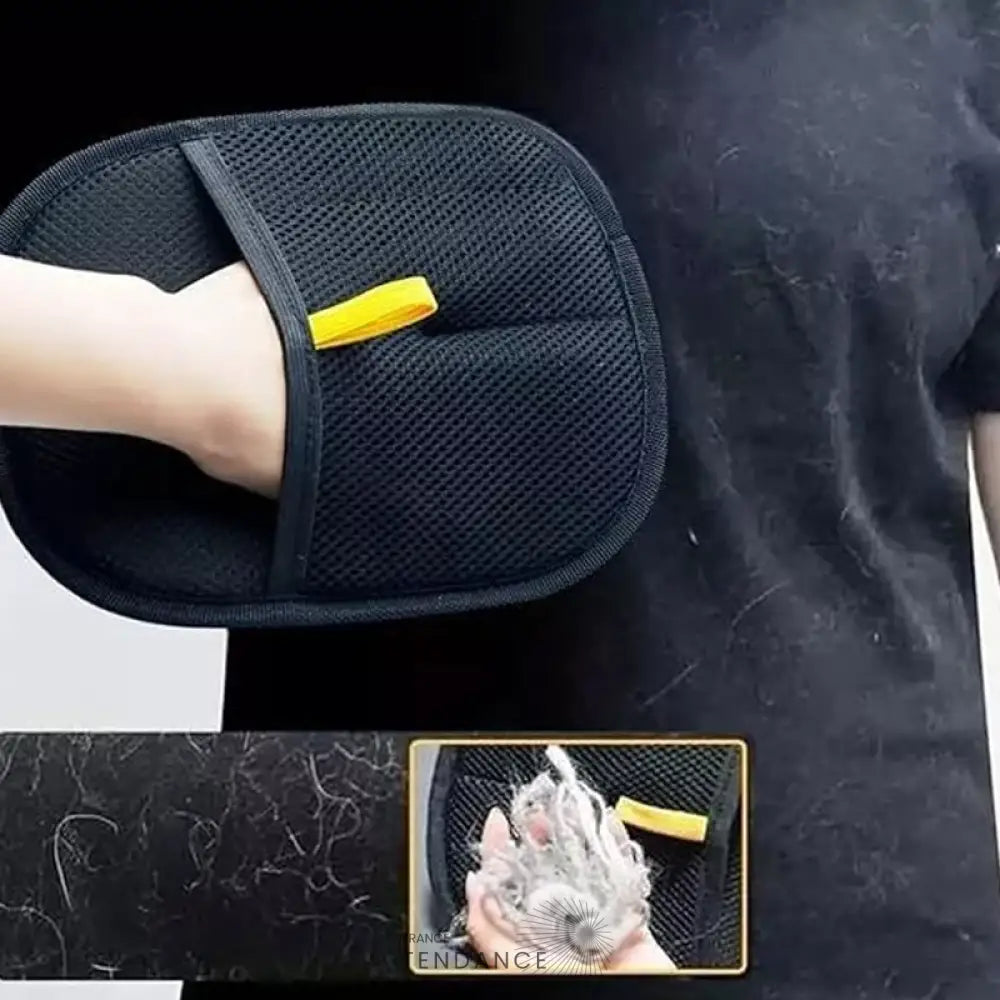 GANTIPOIL + | Le Gant Ramasse Poils révolutionnaire 2025