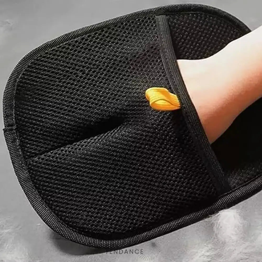 GANTIPOIL + | Le Gant Ramasse Poils révolutionnaire 2025