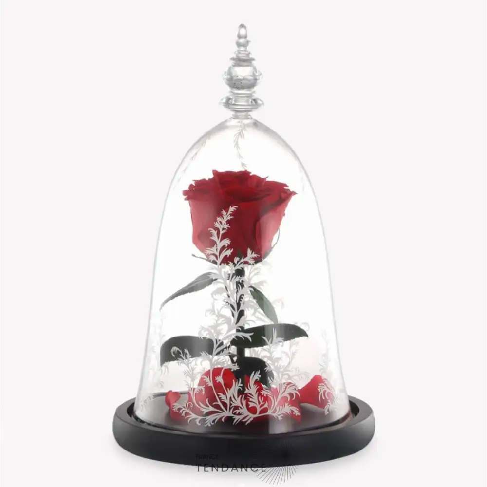 Rose éternelle Sous Cloche La Belle Et Bête Rouge |