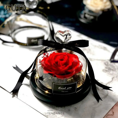 Bouton De Rose éternelle Sous Verre - Best Seller |