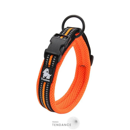 Collier Lumineux Réfléchissant Pour Chien | France-Tendance