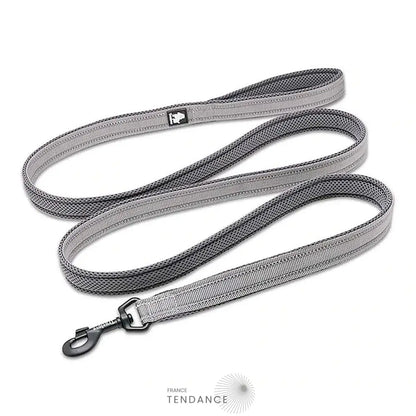 Laisse Lumineuse Réfléchissante | France-Tendance