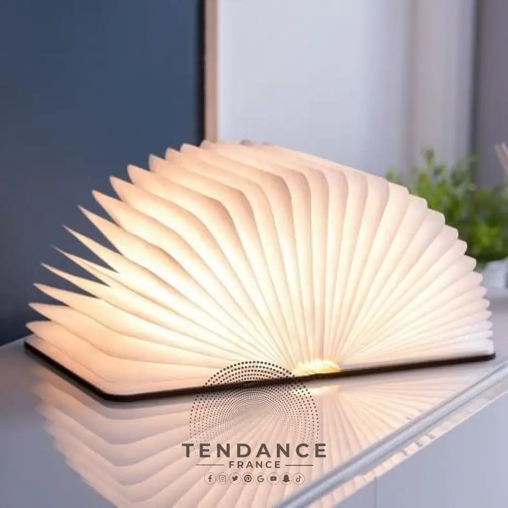 Lampe Livre Lumineux Gonku™ | France-Tendance