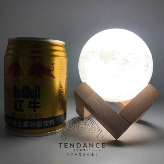 Lampe Lune De Vie | France-Tendance