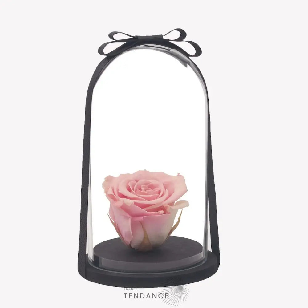 Rose éternelle Sous Cloche | France-Tendance