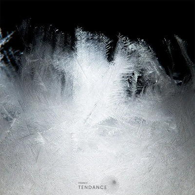Stormview™ | Prédiction Du Temps | France-Tendance