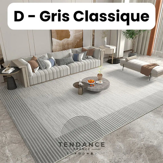 Tapis Magique Intachable | Incroyable Mais Vrai! D - Gris Classique / Paillasson (0.4X0.6M) Salon