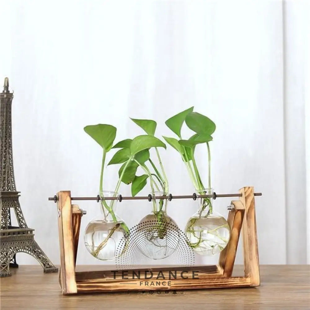 Terrarium Avec Support En Bois | France-Tendance